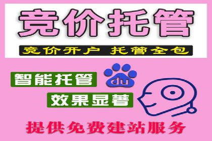 百度推广服务费案例：如何利用预算最大化效果